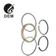 Đối với MAN OD-MN25 D2565 MT/MTF Piston Ring Oil Ring