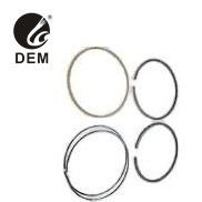 Đối với RVI OD-RV18 MIDR 620.30 19T C279T PR14SGL C260 Nhẫn piston Nhẫn dầu